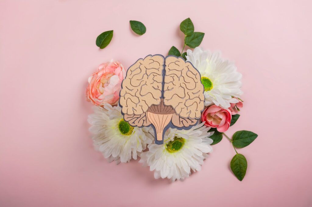 nutrición para la salud mental