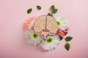 nutrición para la salud mental