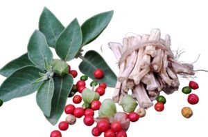 Alimentos que reducen el estrés